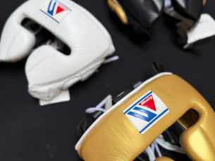 WHAT TYPE OF HEAD-GUARD SHOULD YOU USE FOR SPARRING?