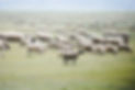 image485.png