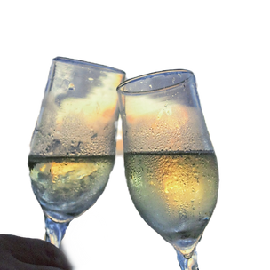 pexels-pixabay-2145_edited_edited.png