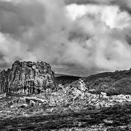 Kenia-Fotoreise Teil 5 - die Aberdares - Hochland im Regen