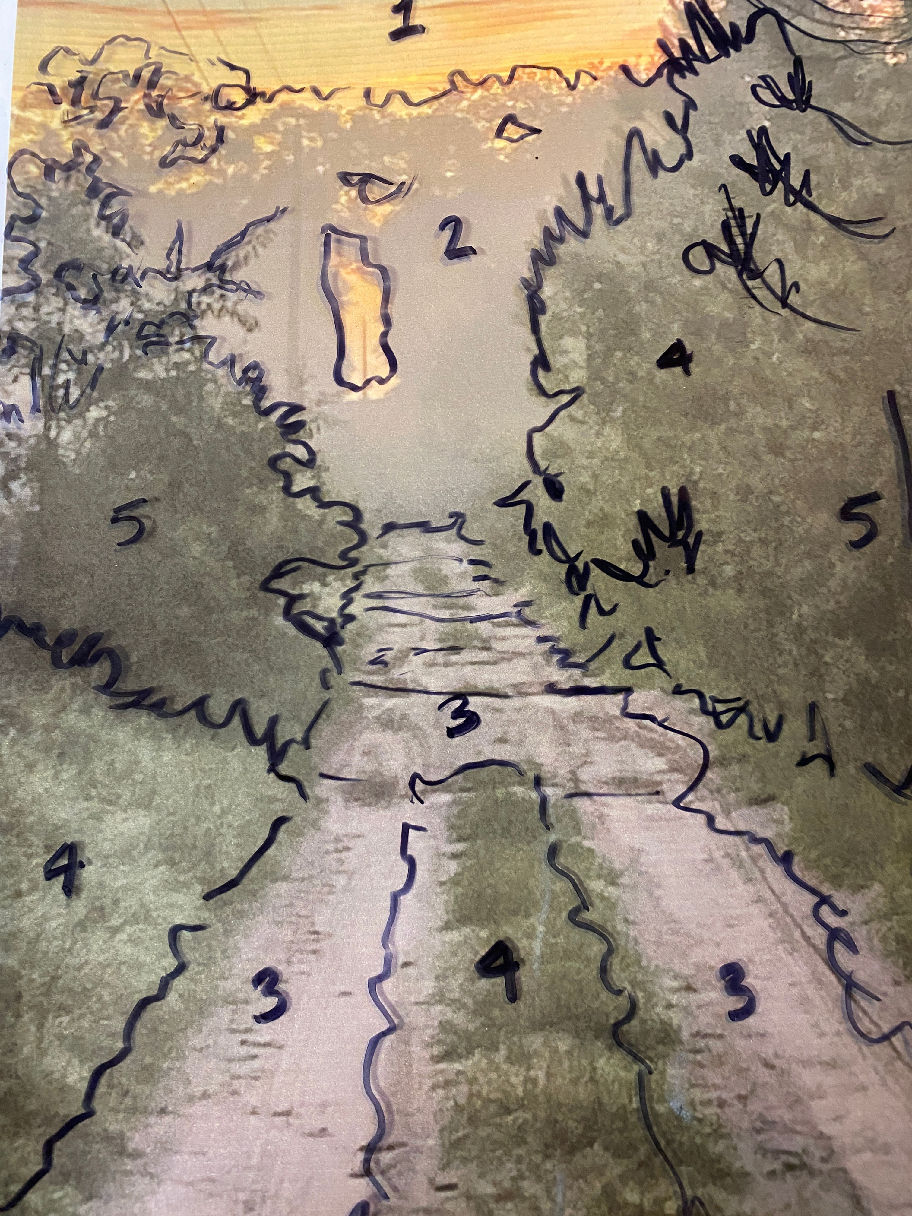 Sketching Value Maps of Landscapes