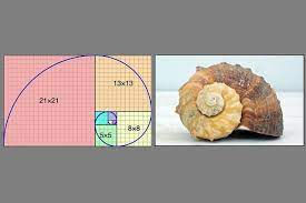 The Golden Curve and the Fibonacci Sequence