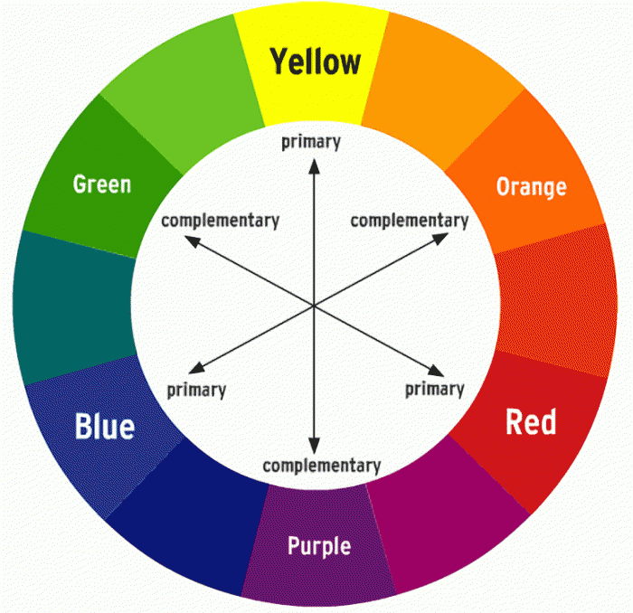 Color Theory and Complementary Palette online class