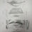 Thumbnail: Recordings of Drawing Series-Facial Features