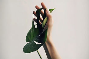 Tine Linder Cranio