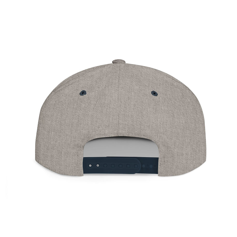 Thumbnail: Snapback Hat - 'No Pain No Gain, I Need Money' Embroidered Flat Bill Cap