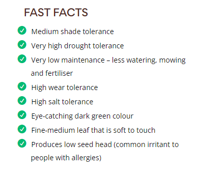 Thumbnail: NARA™  NATIVE ZOYSIA MAC03 TURF