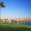 Thumbnail: MATILDA SOFT LEAF BUFFALO TURF