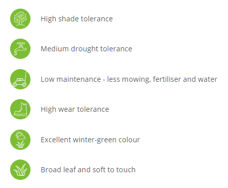 Thumbnail: PALMETTO®  BUFFALO TURF