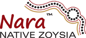Nara Native Zoysia Logo -ABC TURF SUPPLIES SYDNEY