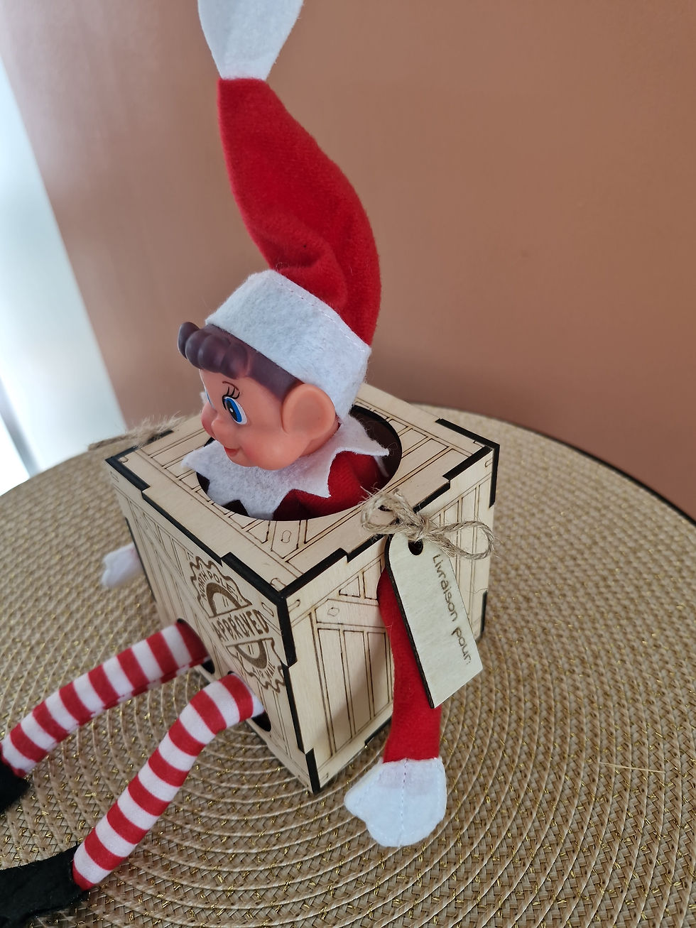 Miniature : Boîte d'arrivée lutin