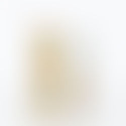 SALEのお知らせ⭐️