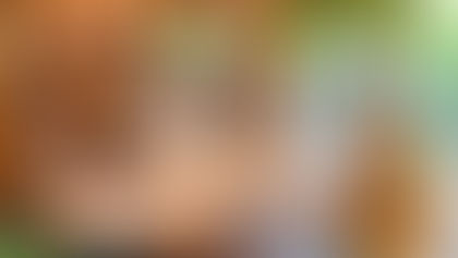 表情と人間関係