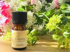 光に包まれるように✨