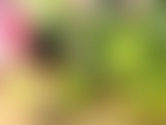 光に包まれるように✨