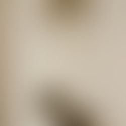 The Birth of the Jaipur House Collection: A Journey of Resilience