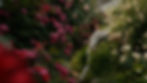 habikinorosegarden034.jpg