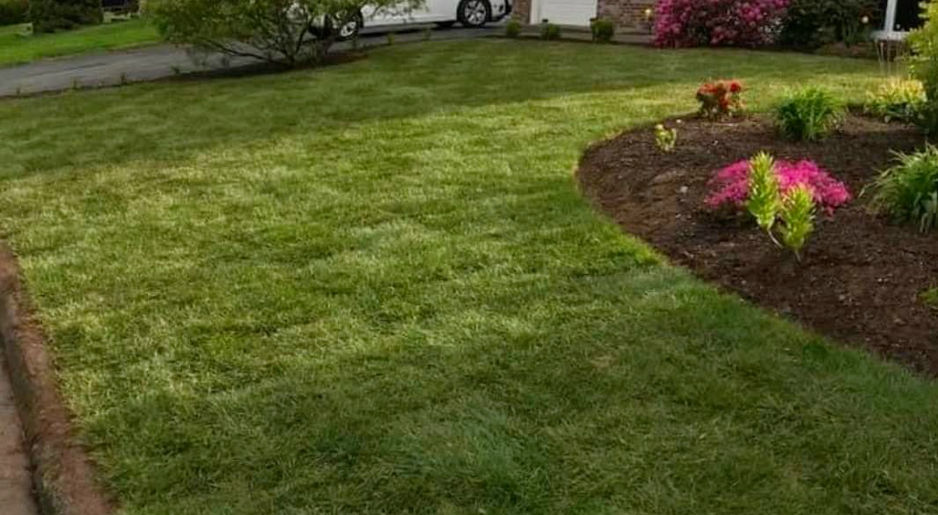 Lawn Installation and Design Halifax