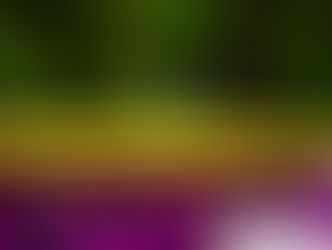 Cirurgia plástica na primavera?