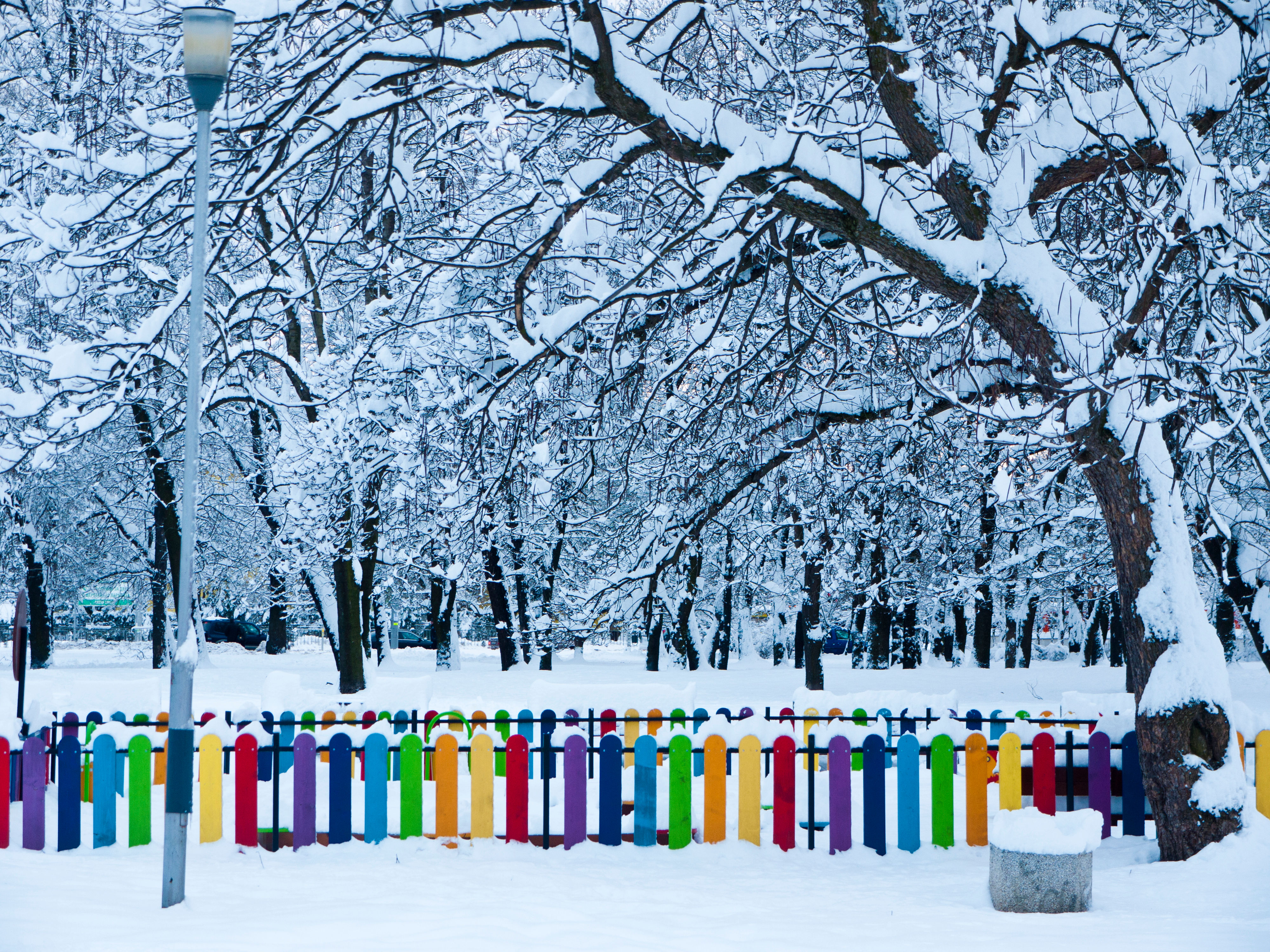 Colorful & Playful Winter Wonderland