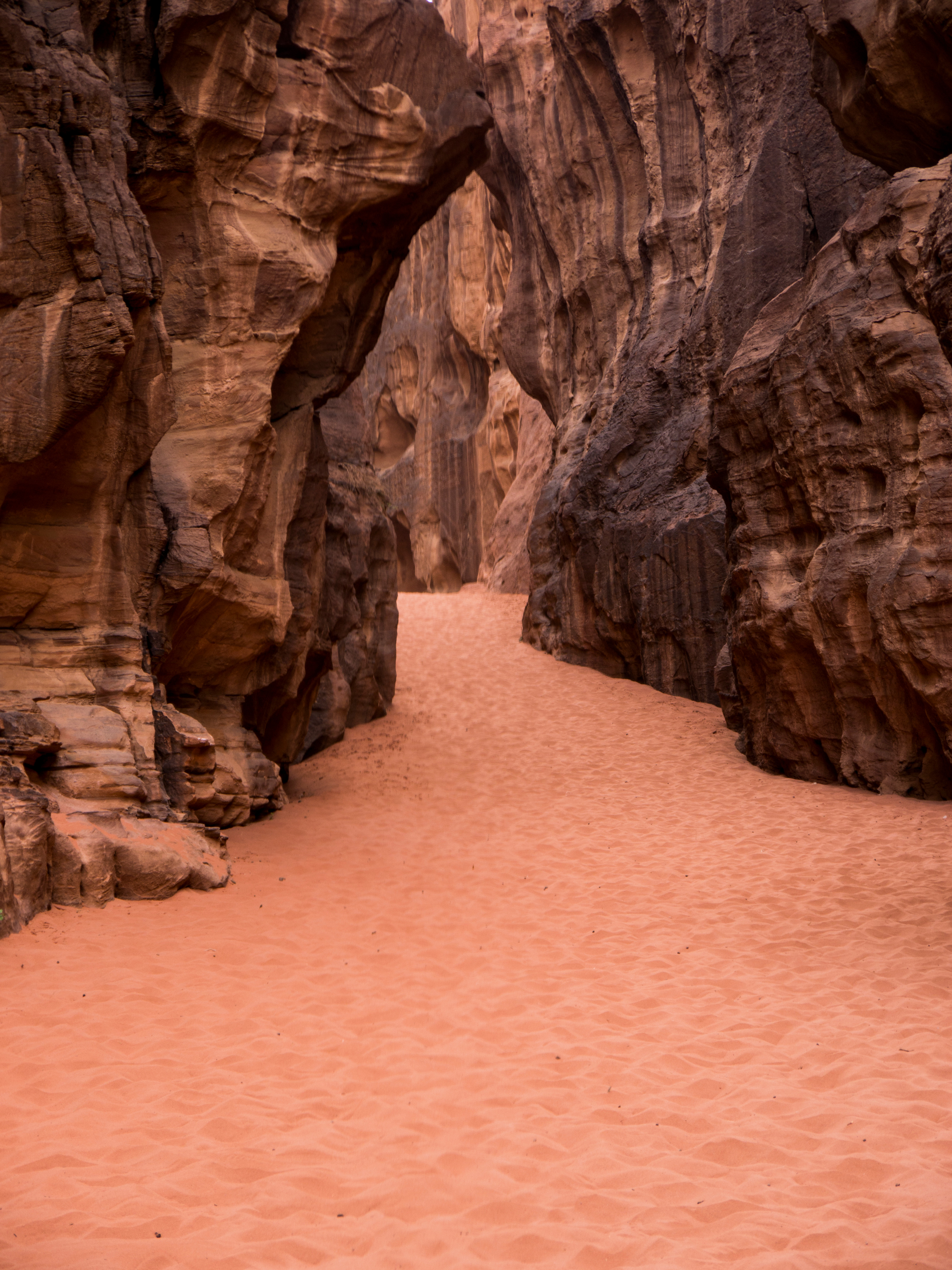 Through the Canyon