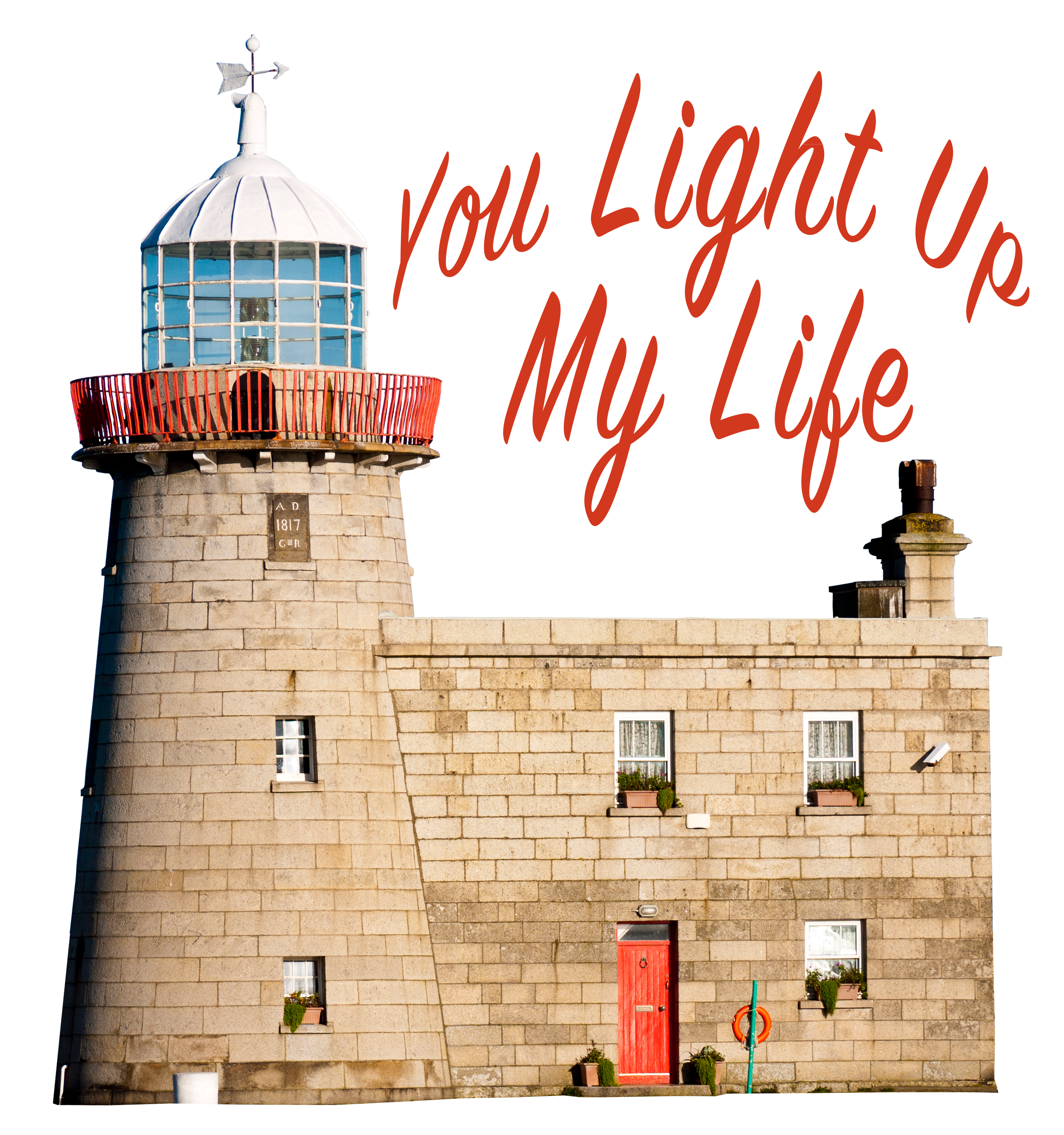 You Light Up My Life