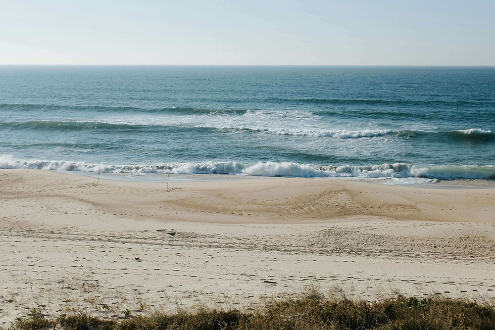 Dune grass above a wide beach with tire tracks in the sand