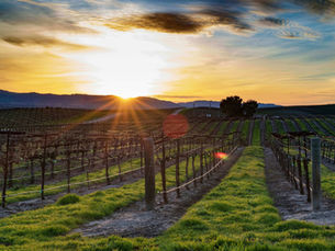 San Luis Obispo vs Paso Robles: Which One Is You?