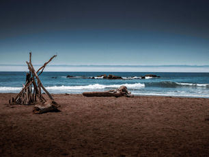Dog Beaches on the Central Coast