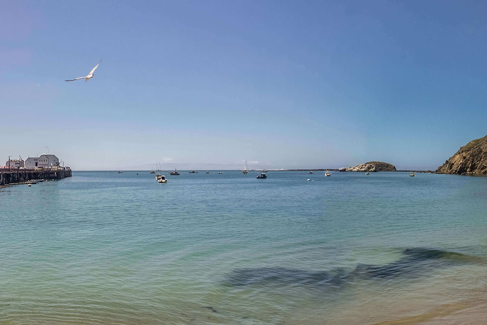 Wooden pier and moored boats on calm water in San Luis Bay