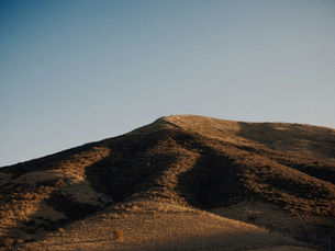 Moving With Horses to the Central Coast: What to Line Up Before You Close