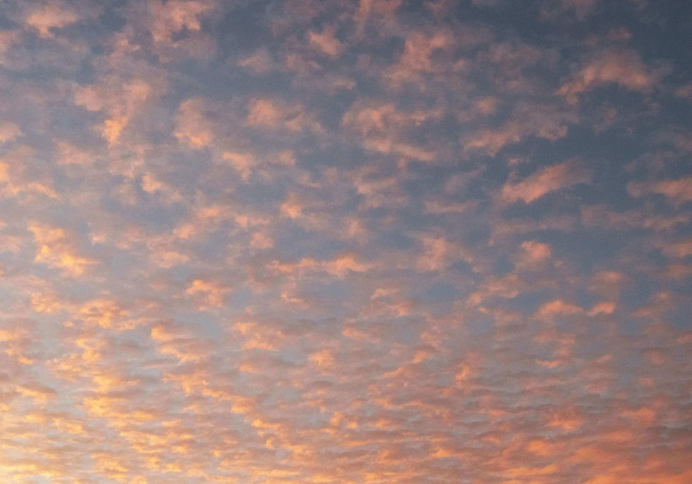 Soft pink and gold evening clouds spreading across the sky