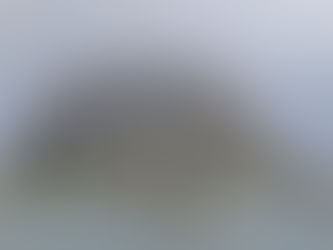 Owning a Home in the Fog Belt: Mold, Moisture, and Maintenance