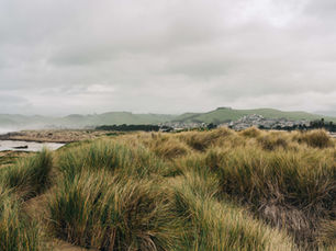 Morro Bay vs Cayucos: Two Beach Towns, Two Different Lives