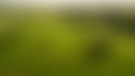 Hoe maken we onze boeren nogmaals helden