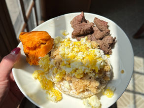 NEW high protein recipe (GF+DF)