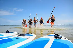 Paddle