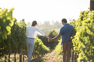 Route des vins du Médoc