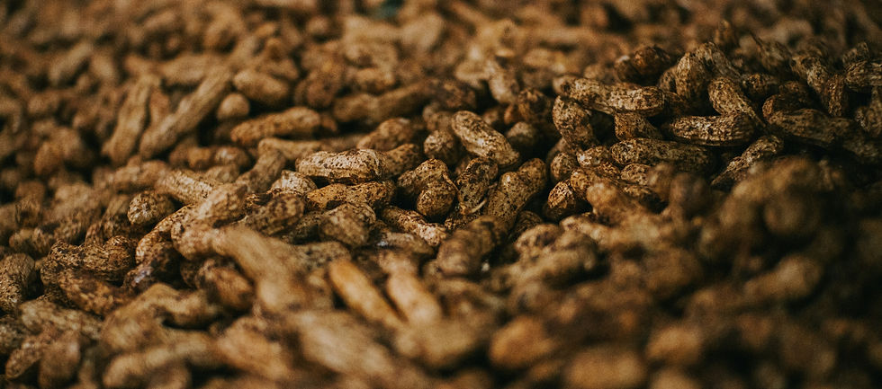 Vue en plongée d’un assortiment de pralines dans une boîte élégante