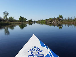 Kayak
