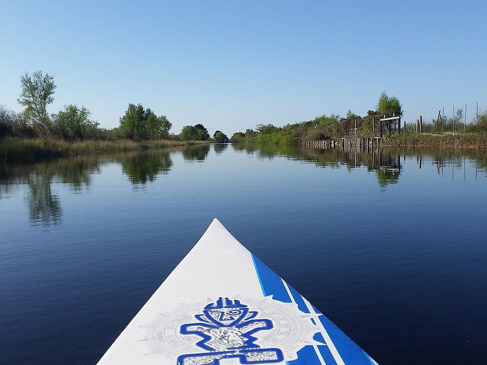 Kayak