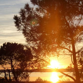 Vacances familiales Carcans : des moments nature inoubliables