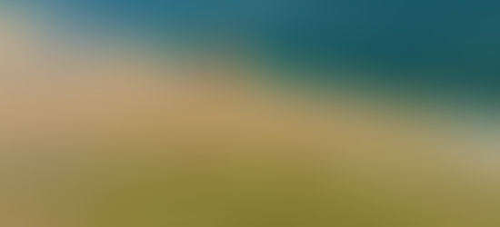 Location de pinasse sur le bassin d'arcachon