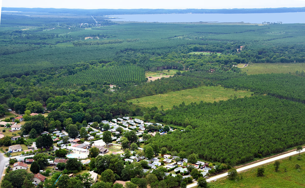 Vue aérienne d’un lac entouré de forêt, idéal pour les activités nature