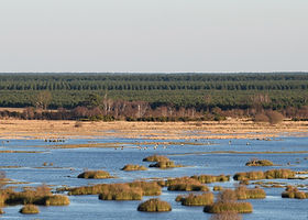 Réserve naturelle de l’étang de Cousseau