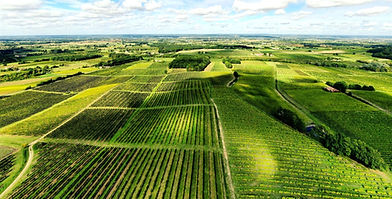 Le Domaine de Pomport : Vins Bio et Engagement pour le Terroir