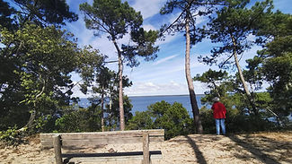 Forêt domaniale de Carcans