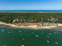 Pinasse Mandarine - Balade en bateau sur le bassin d'Arcachon