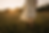 5d806599-af3c-498f-b557-5799a4087c4b.png