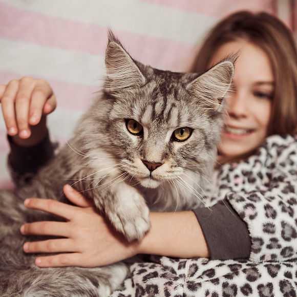 nina-gato-sentados-cama.jpg